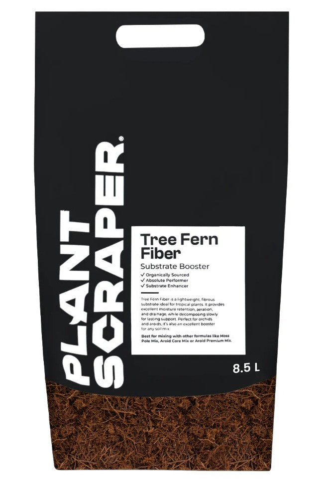 Plant Scraper Tree Fern Fiber