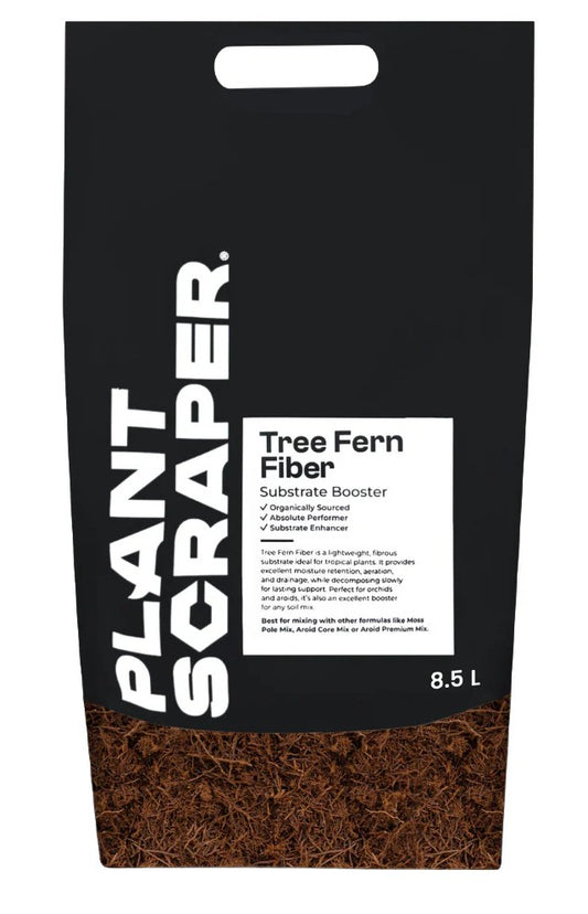 Plant Scraper Tree Fern Fiber